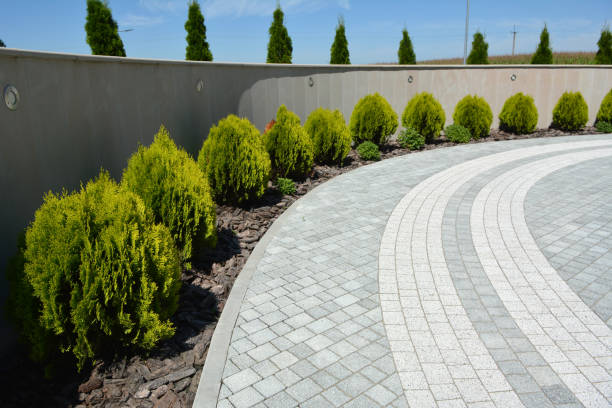 Best Driveway Pavers Near Me  in Ogdensburg, NJ